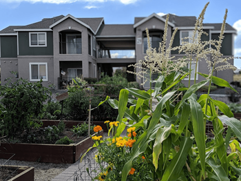 Exterior view of the building and garden